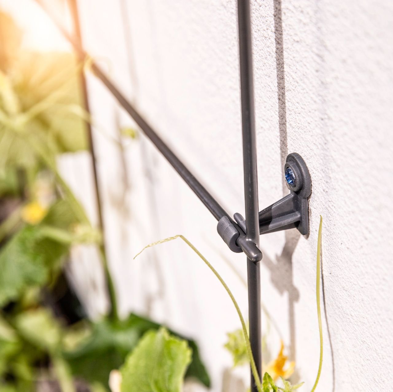 Gitterspalier 75x150 cm anthrazit