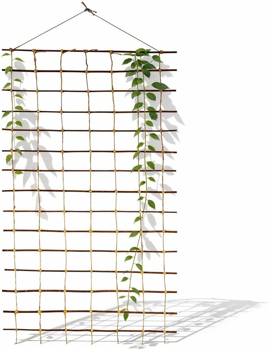 Floranica Rankhilfe 150 x 100 cm Rankgitter für Kletterpflanzen Stütze für Rosen Gemüse