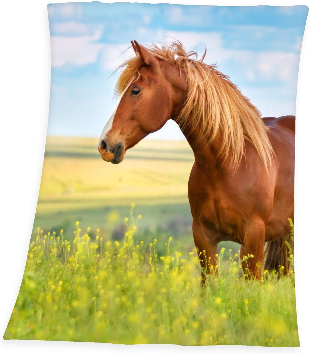 Thumbnail - Pferd Fleece-Decke Größe 130x160 cm
