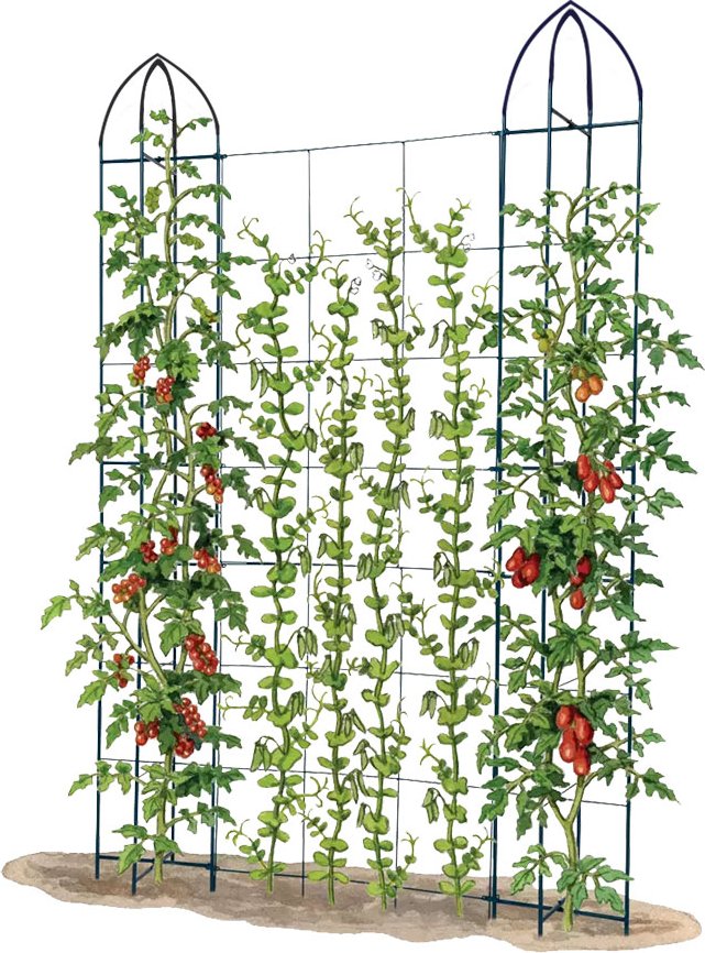 Rankgitter für Kletterpflanzen, ca. 160 x 190 cm - Schwarz