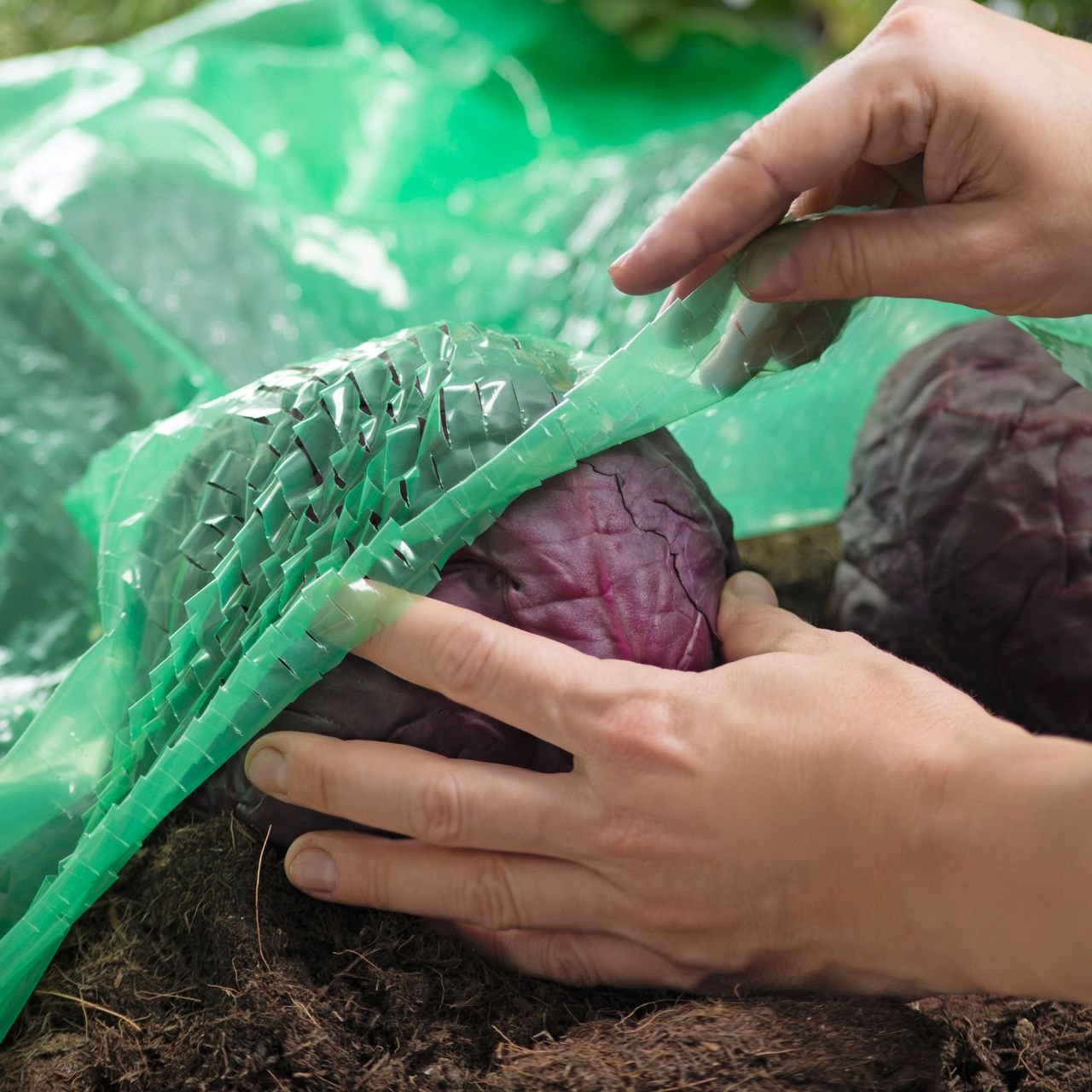 Fb.-Schlitzf. MITW. 7,2x1,4m 50µm