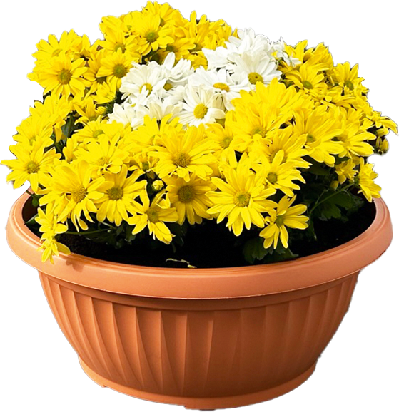 Powertec Garden Pflanztopf "Lucca" - Ø ca. 40 cm, Terrakotta, rund