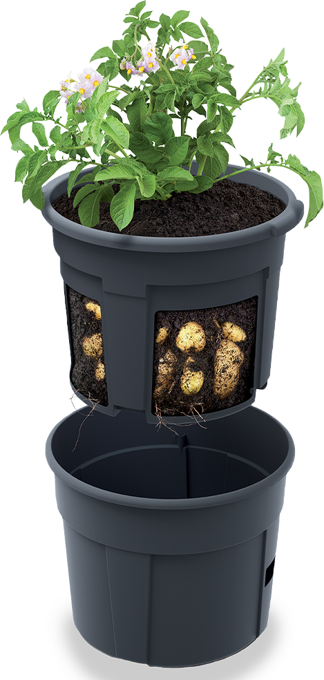 Kartoffeltopf - Anthrazit