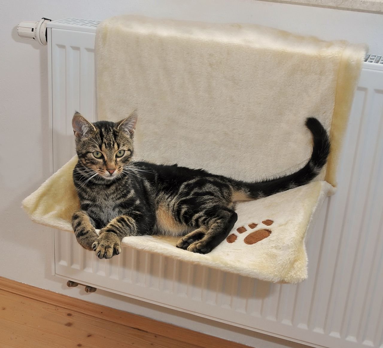 Katzen Heizkörperliege uni beige