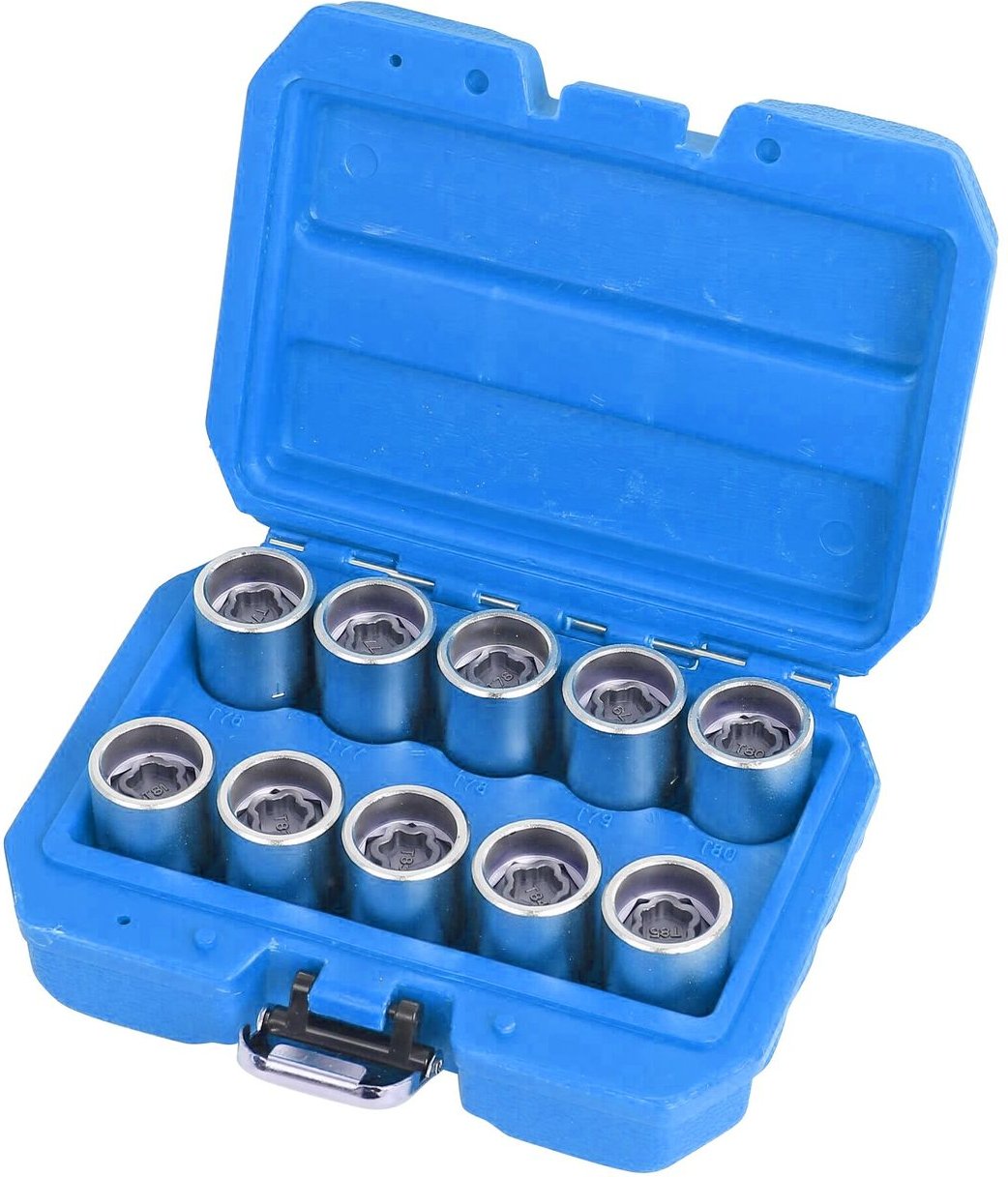 10-teiliges Tesla-Medaillon-Steckschlüssel-Set