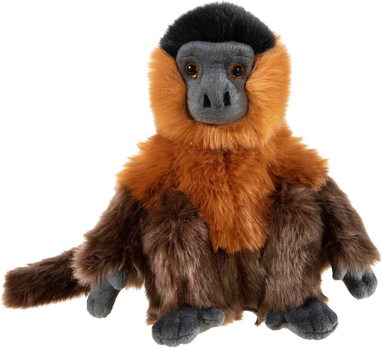 Thumbnail - BEDROHTE TIERE Kapuzineraffe