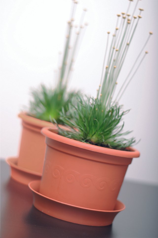 Powertec Garden Pflanztopf "Classic", Rund - Terrakotta