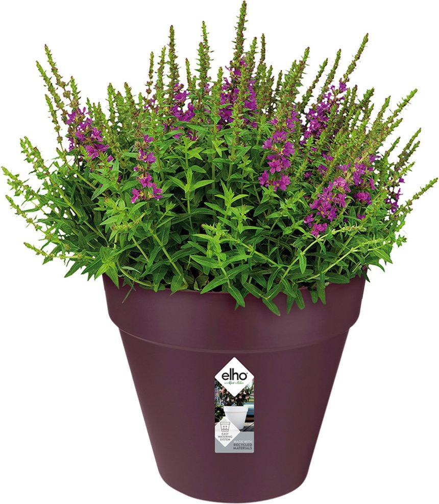 Thumbnail - Deuba Blumentopf Maulbeere matt 19x18cm 3L