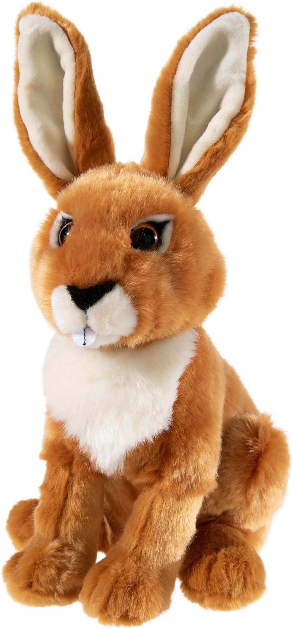 Thumbnail - BEDROHTE TIERE Feldhase