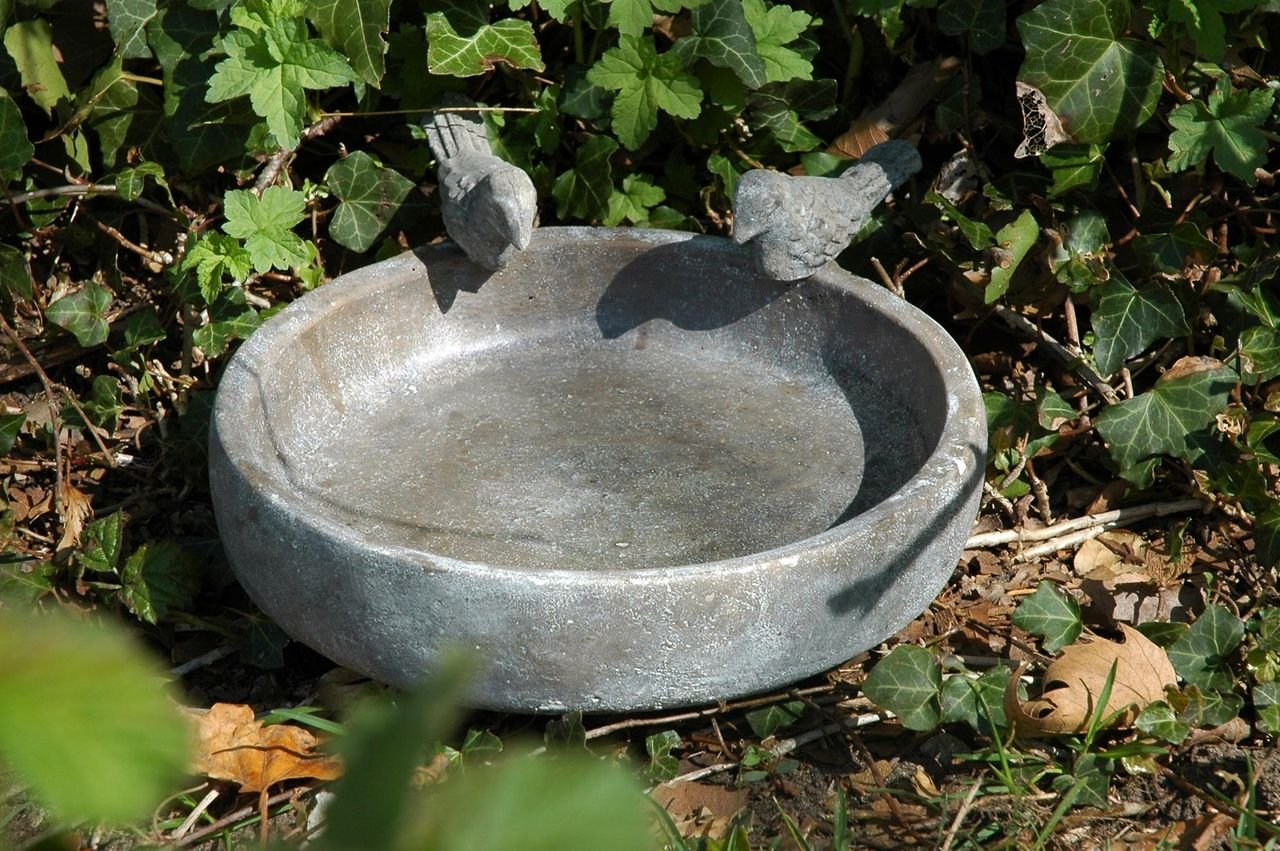 Klassische Vogeltränke "Pool-Oase"