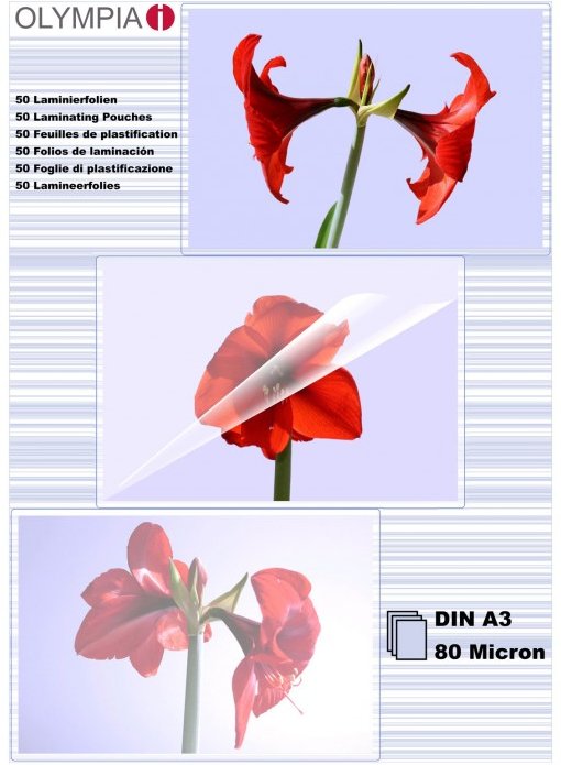 Laminierfolien OLYMPIA DIN A3, 80µ, 50 Stück