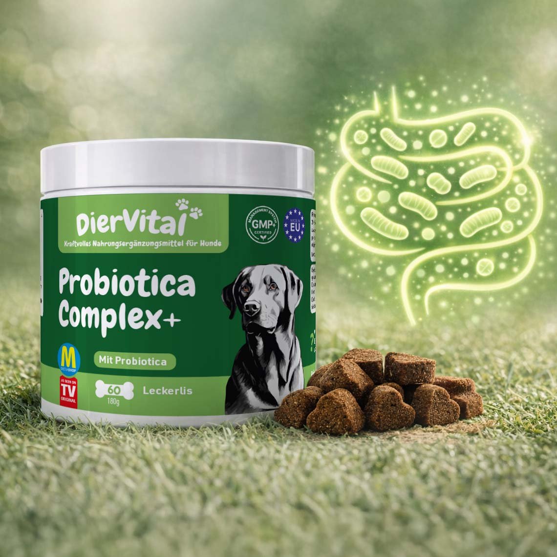 Diervital Probiotics Complex Ergänzungsfuttermittel für Hunde 60 Stk.
