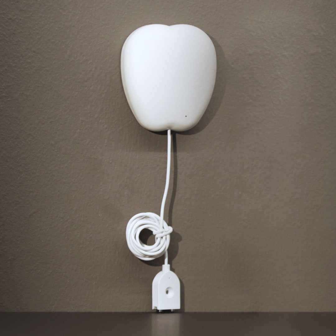 WaveWatcher elektronischer Wasserschadenmelder