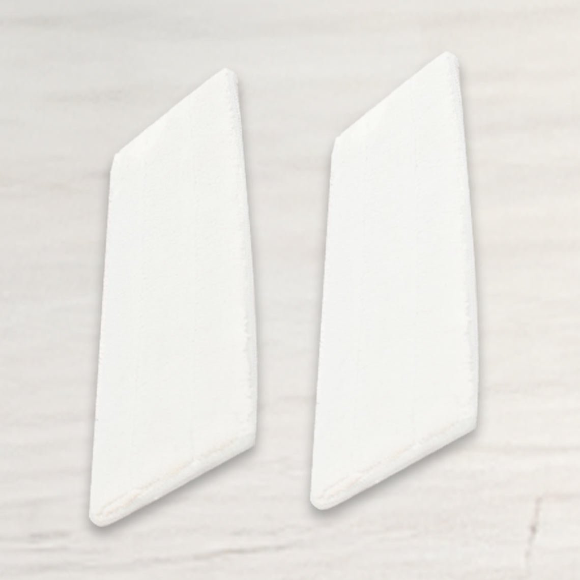 Livington HydroClean Ersatz-Pads 2er Set