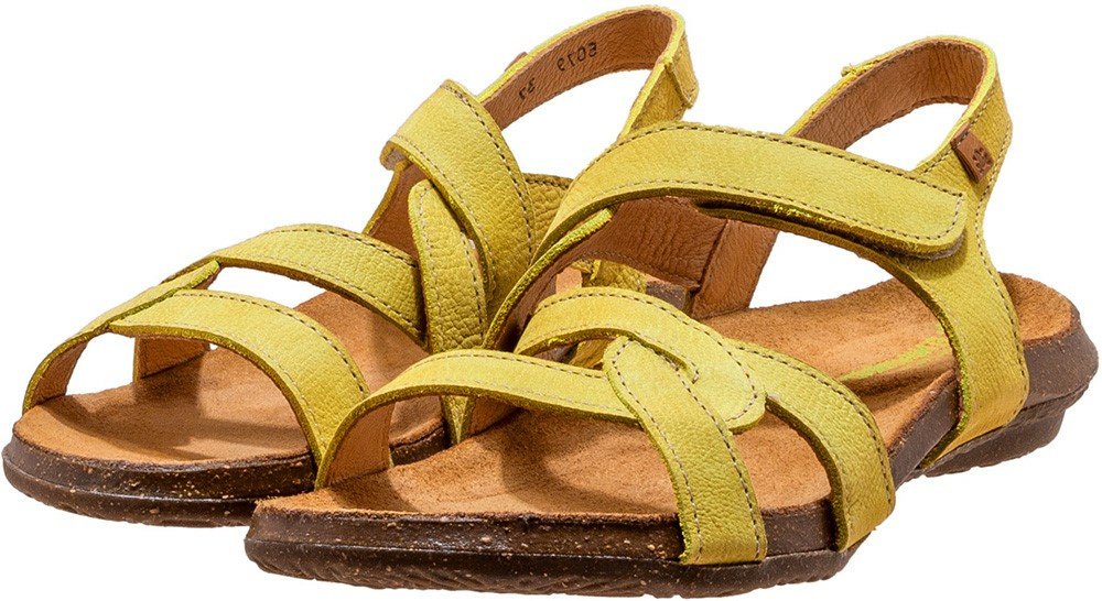 Thumbnail - El Naturalista grün 38