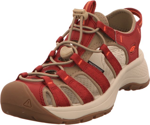 Keen rot 40,5