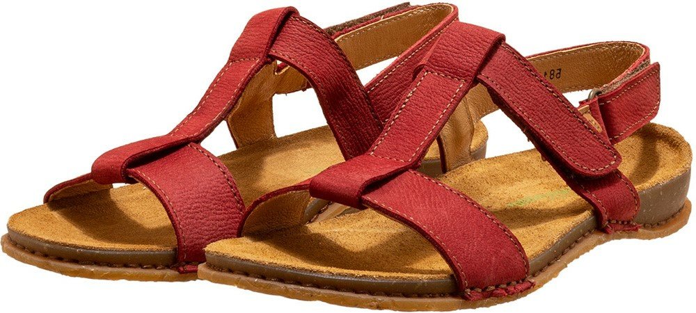 El Naturalista rot 41