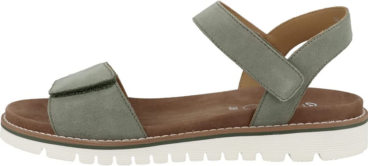 - Kent Thyme - 17-001-8-29-02 40