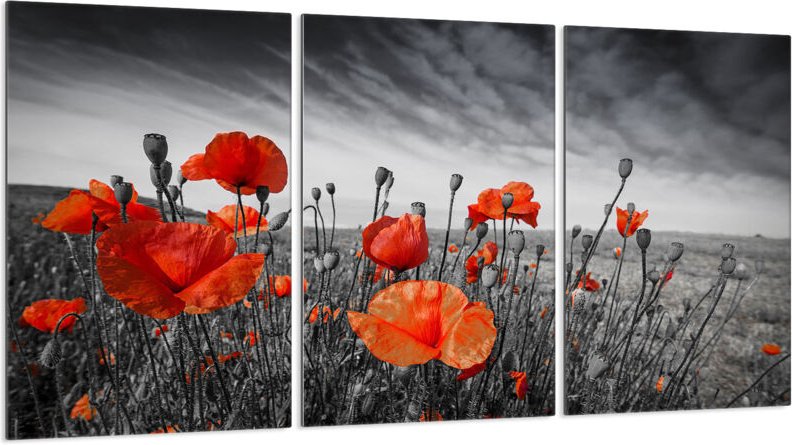 Glasschutzplatte für Herd 3x30x52