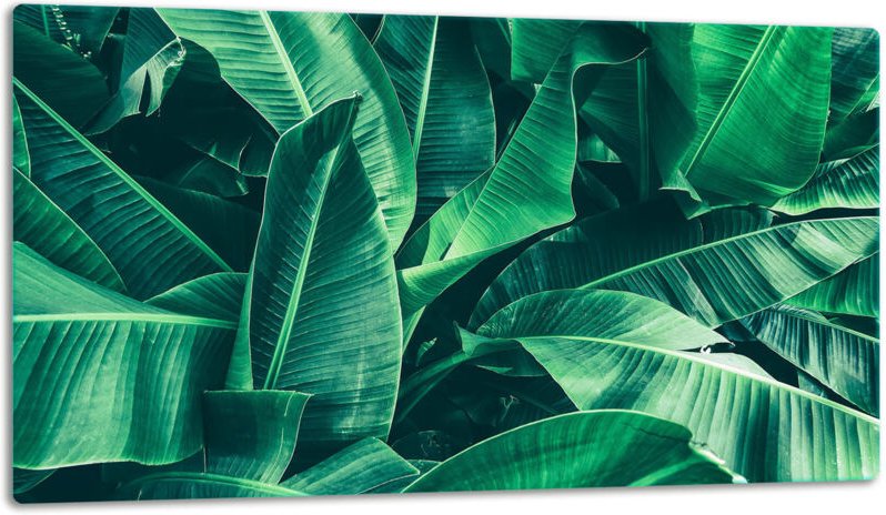 GlassplattenschneideBrett 52x30 Blätter