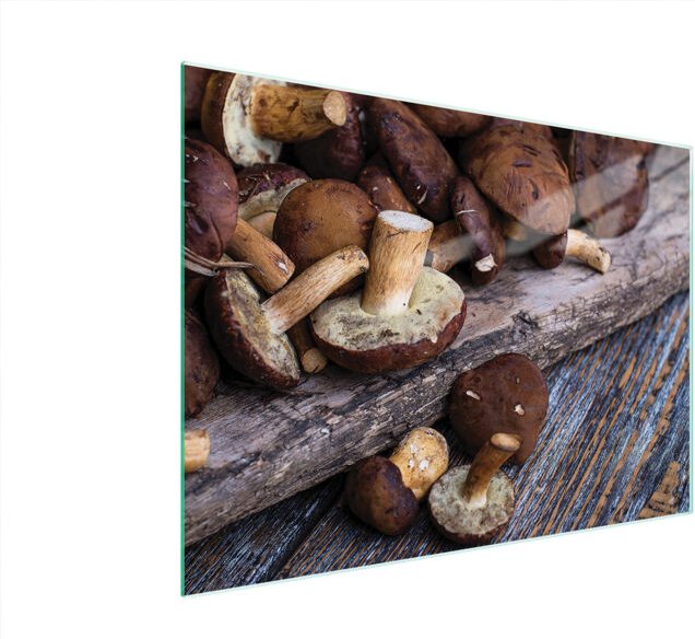 Glasschneidebrett 40x30 Pilze