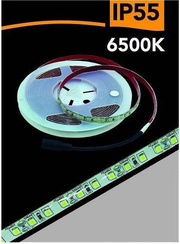 Trade Shop Traesio - Trade Shop - LED-Streifen 2835, 5 m, Lichtspule, 4000 k, 3000 k, 6500 k, wasserdicht, IP55, 2835, 1...