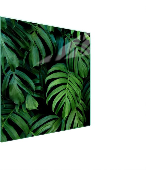 GLASSCHUTZPLATTE FÜR HERD 50x52 MONSTERA