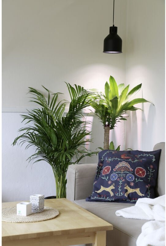 Venso Ecosolutions - Venso E27 saga Lampenschirm Schwarz led Pflanzenlampe