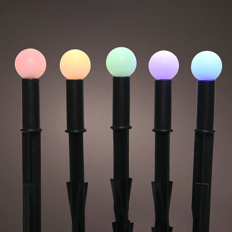 Light of stake solar with seed form 898167