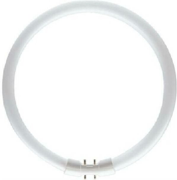 Kreisreinige lampenblumenzentrum tl5 60w d40 natrlicht tl5c6084