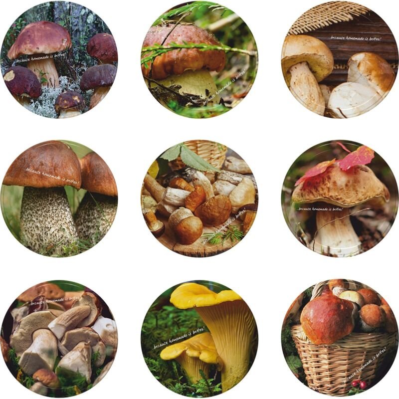 Cap Fi66 Pilze 2 - 10 Stk.