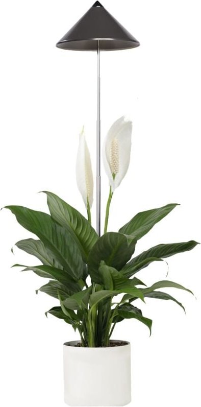 Parus by Venso SUNLiTE 7W LED Pflanzenlampe, grau