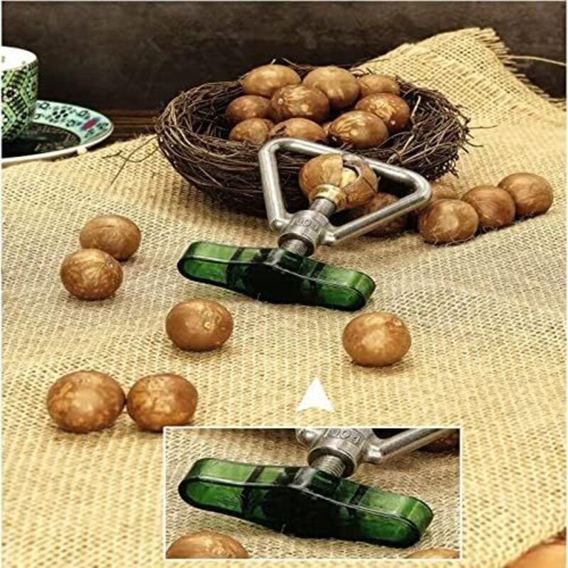 Nussknacker, Nussknackerzange für Walnüsse, Pekannüsse, Haselnüsse, Mandeln, Paranüsse oder andere Nüsse mit Schraubmech...
