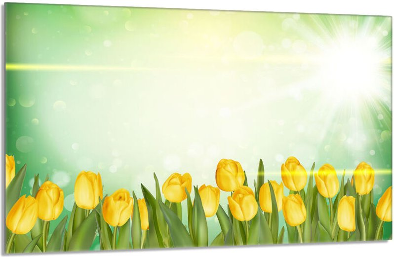 Glas-Herdplattenschutz 80x52 Tulpen