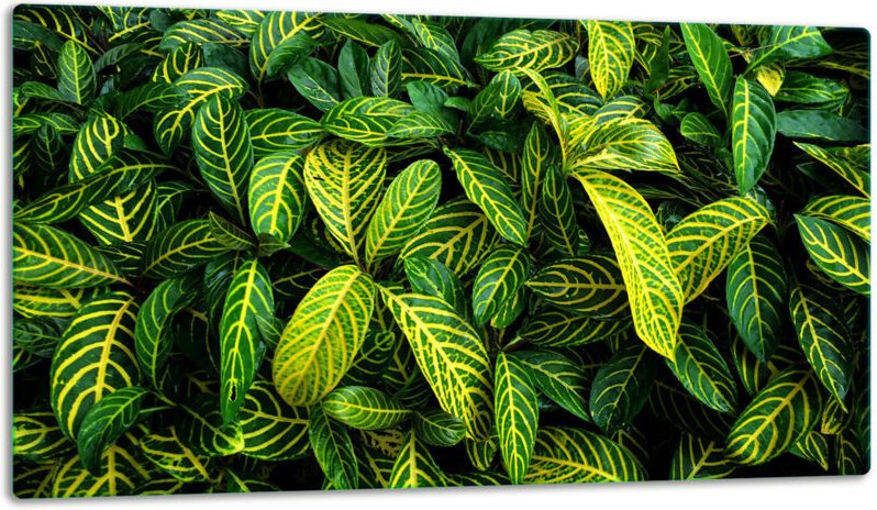 GlassplattenschneideBrett 52x30 Grün