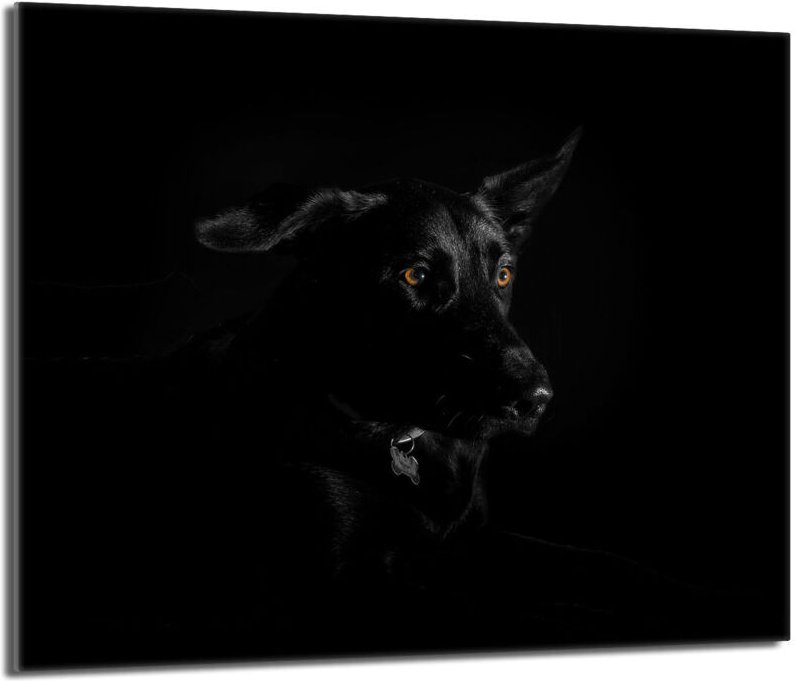 Glas-Herdplattenschutz 60x52 Hund