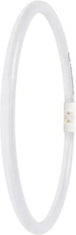 Osram - ledvance led T5 fc 40/55 external p 21.5W 830 2GX13 Warmweiß, Ringlampe mit ø 300 mm, dimmbar, kompatibel mit LE...