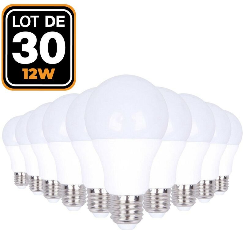 Europalamp - 30 LED-Glühbirnen E27 12W Kaltweiß 6000K Hohe Helligkeit