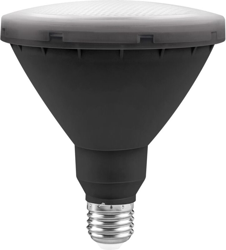 LED-Gartenbirne Par38 IP65 Matel E27 15W kalt