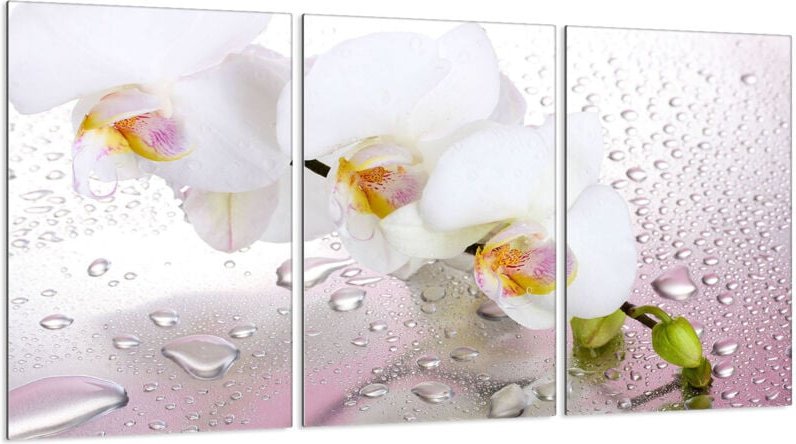 Glasschutzplatte für Herd 3x30x52