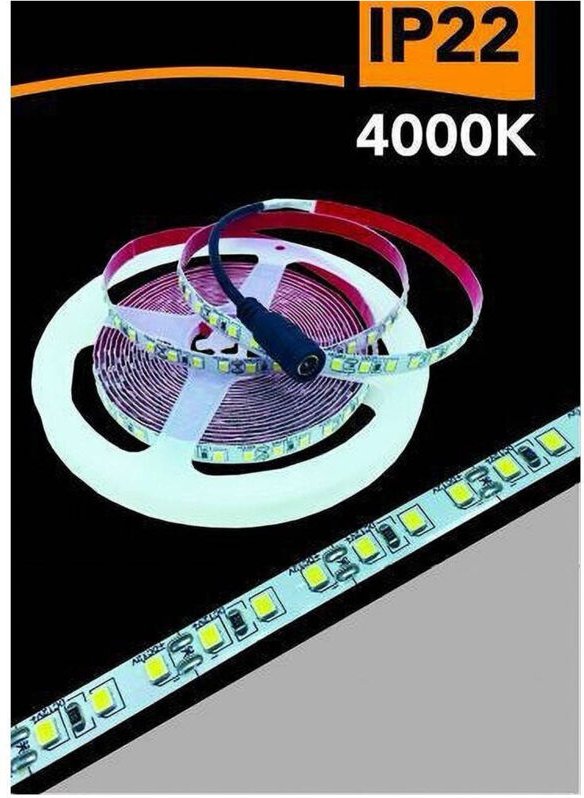 Trade Shop Traesio - Trade Shop - striscia led 2835 strip 5MT bobina luce 3000K 4000K 6500K blu IP22 2835-12V -