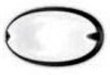 Plafoniera chip ovale 30 colore nero 30w 005782