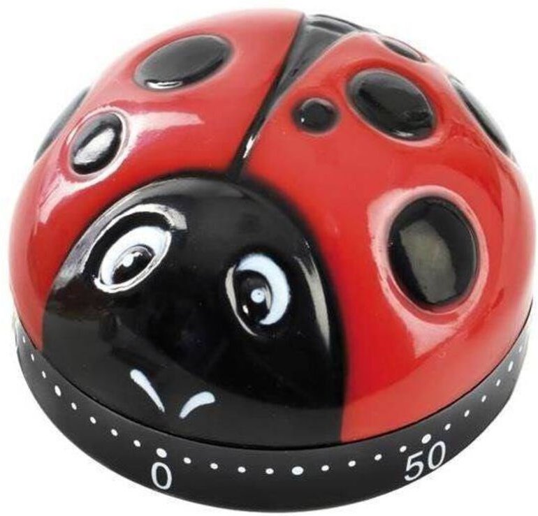 Marienkäfer-Küchentimer