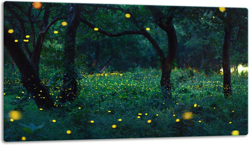 Glasschild Schneidebrett 52x30 Abend