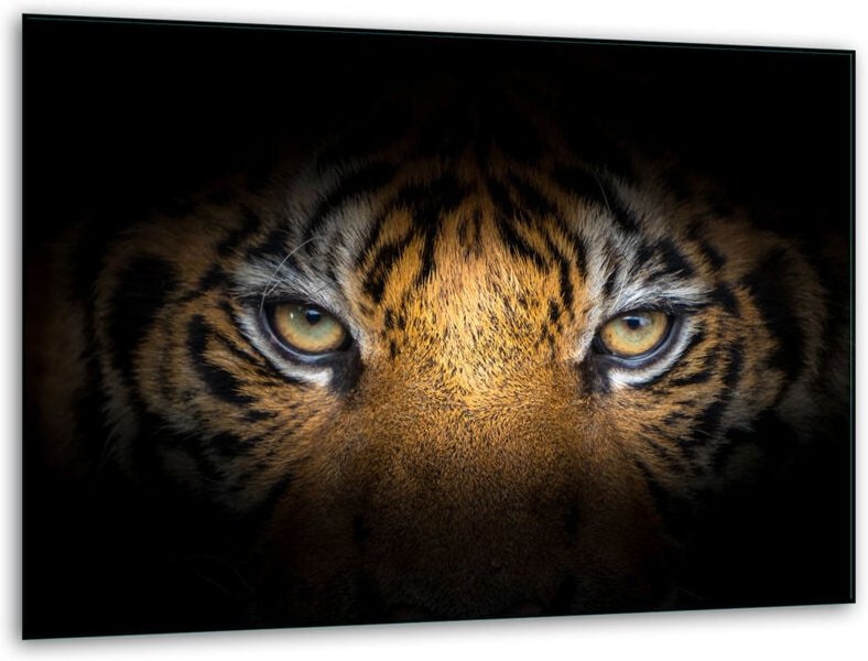 Glashakkungsbrett 40x30 Tiger