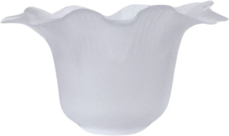 Tulpe Sonia 16x9.5cm Öffnung 5cm