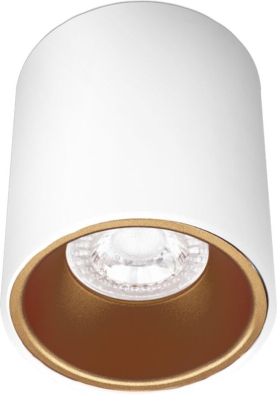 Century - essenza innen-deckenleuchte mit gu10 anschluss ip20 - esrbg80-gu10