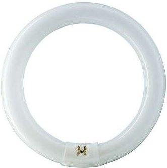 EHL - philips tl-e 22W/865 1CT/12 kühles Tageslicht, Ringlampe mit ø 213,5 mm, dimmbar