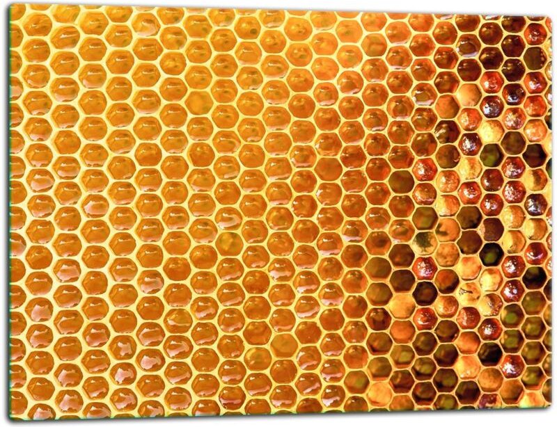 Glasschild Schneidebrett 52x40 Honig