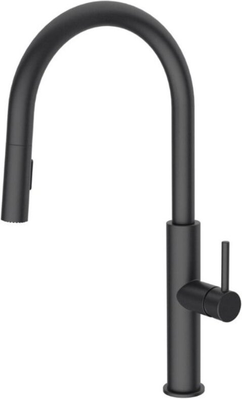 Swiss Aqua Technologies - Küchenmischer mit ausziehbarer 2-Strahl-Brause, mattschwarz (SATBSD286C)